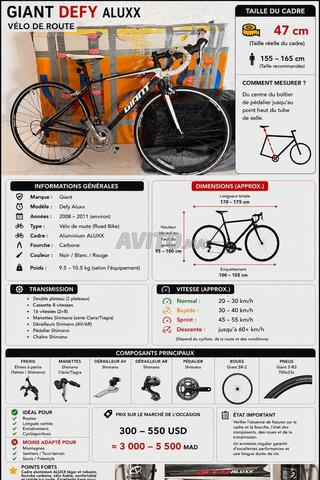 Vélos (Trek, Giant, Masi)