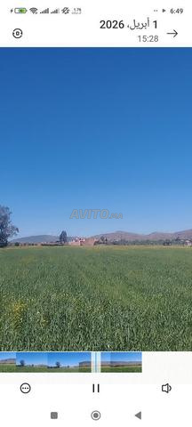 Terrain à vendre dans les environs de Marrakech, précisément à Aït Ourir - 2