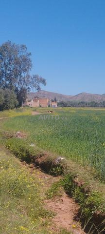 Terrain à vendre dans les environs de Marrakech, précisément à Aït Ourir