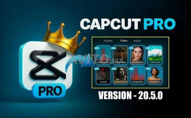 CapCut Pro Individuel 1 An Garantie Complète ✅