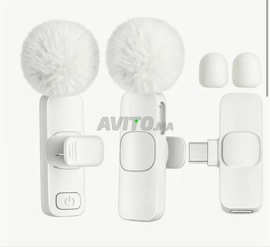 microphone - 2