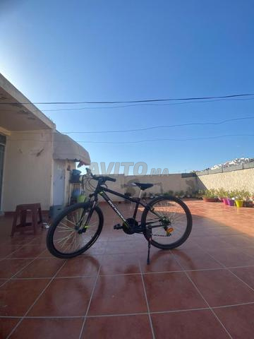 Vélo Rook Rider 150cc Bonjour à tous - 2