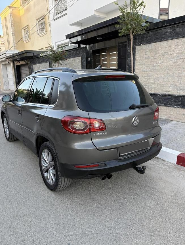 Tiguan 2008