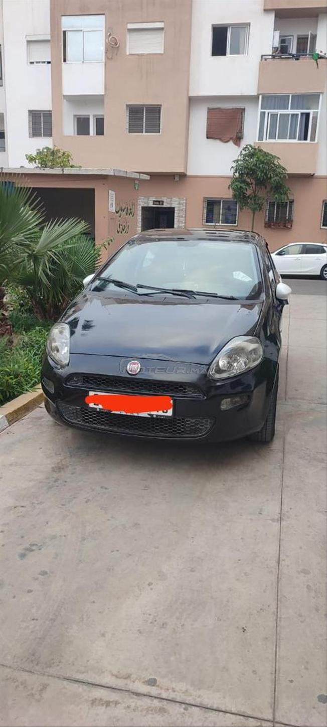 fiat punto