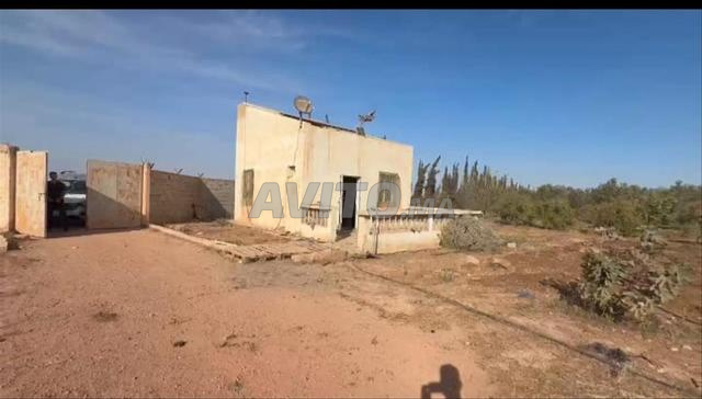مزرعة مسجلة في أولاد أبو - 2