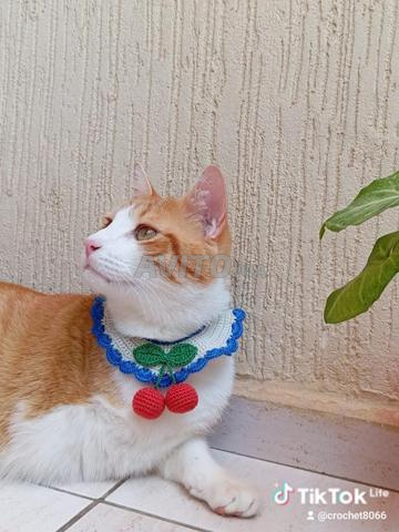 Collier au crochet pour votre chat 🥰 - 2
