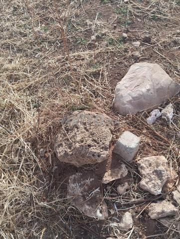 أرض فلاحية بالقرب من شاطئ كاب البدوزة - 2