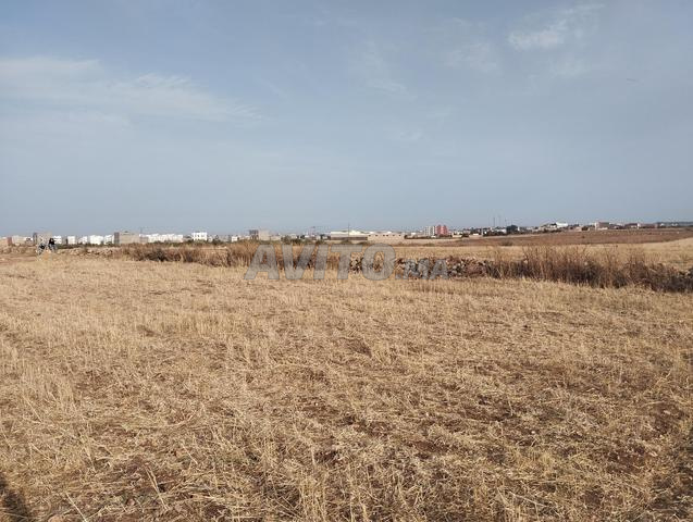 Terrain agricole dans la zone urbaine de Safi, quartier Rouamcha - 2