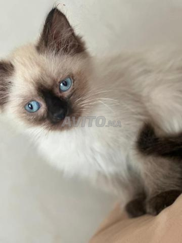 Bon prix bébé Symoi - 2