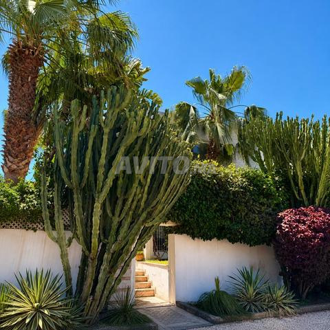 فيلا عصرية 300 متر مربع للإيجار – فرنسا فيل