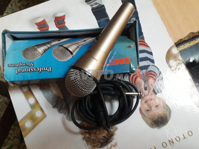 Microphone professionnel vocal - 2