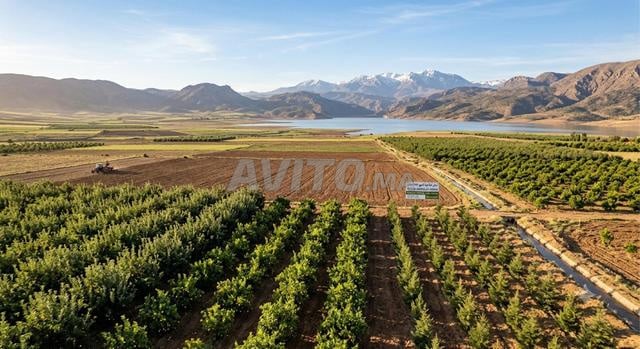 À VENDRE TERRAIN AGRICOLE TITRÉ DE 180 H À MIDELT