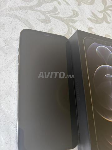 iPhone 12 Pro Max 256Go - 2