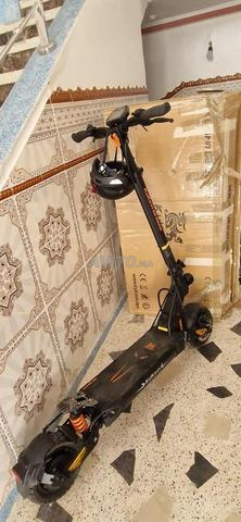 تروتنيت مازلة جديدة