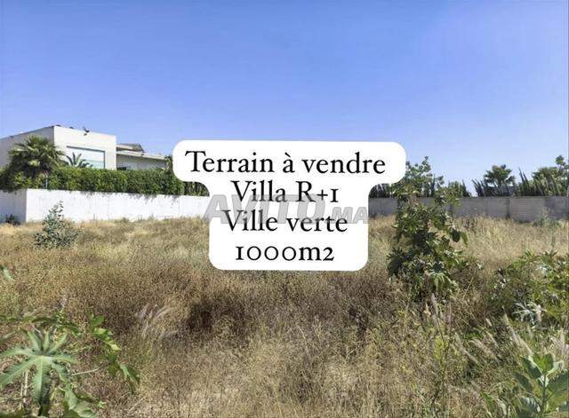 Terrain d’exception de 1 000 m² à vendre