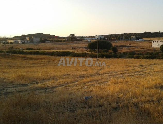 أرض محفظة للسكن أو الاستثمار–350 درهم/م²