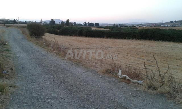 Terrain titré pour habitation ou investissement – 350 DH/m² - 2