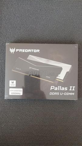 DDR5 ACER PALLAS 32 جيجابايت (2x16) 6000 ميجاهرتز CL 36 جديد