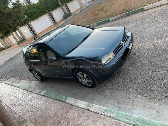 golf zébra 4
