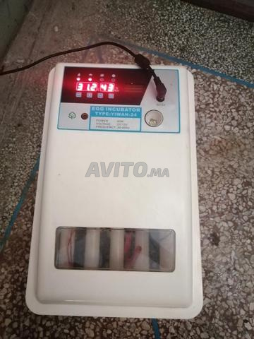 فقاسة أوتوماتيكية - 2