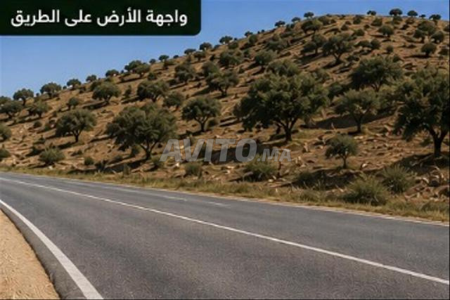 أرض محفظة للبيع - 2