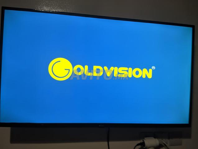TV Goldvision 43 pouces en très bon état - 2