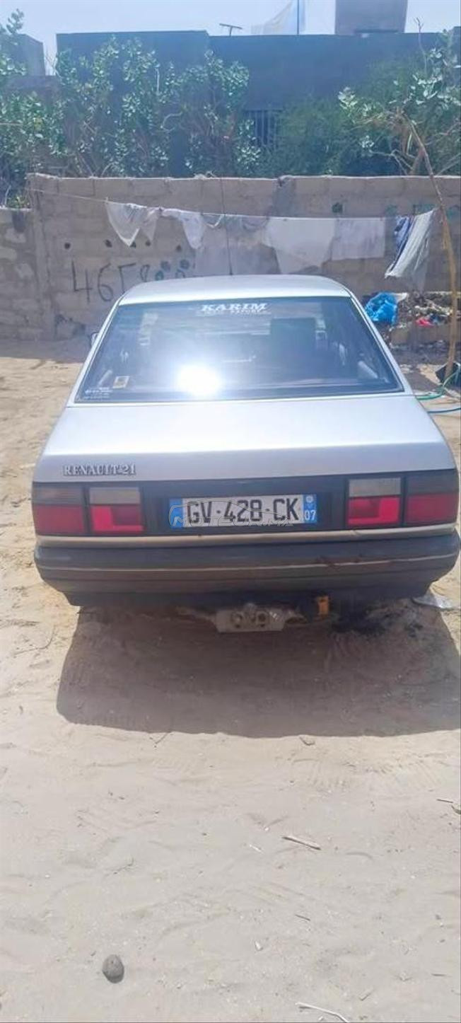    رينو 21