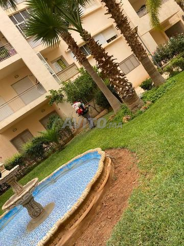 شقة راقية للإيجار وسط المدينة