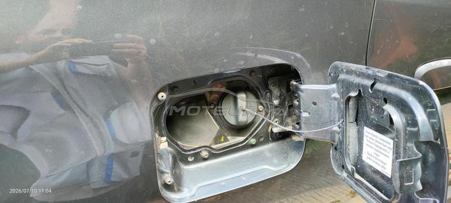 Duster automatique
