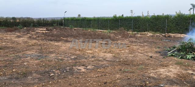 Terrain 1000M2 - 2