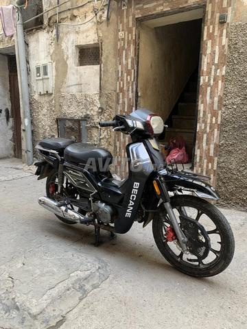 Becane 33 2022 - 2
