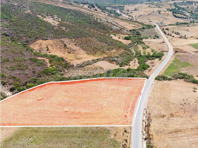 Terrain titré de 7 647 m² à vendre à Meloussa - 2