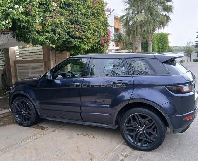 évoque modele black à vendre 
