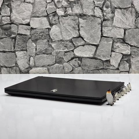 ACER NITRO V 15 / i7 13ème / RTX 5060 - 2