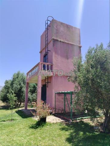 مزرعة حديثة - 2