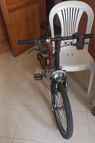 دراجة مناسبة للجميع - 2