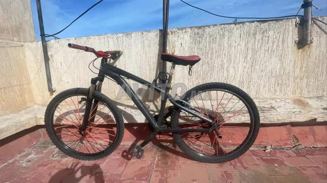 bikala dyal t9sar  - 2