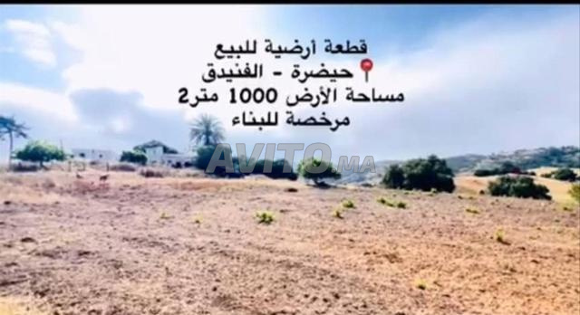 أرض للبيع 1000 متر مرخصة للبناء بحيضرة الفنيدق