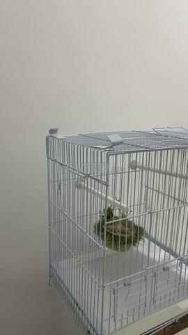 Cage double pour oiseaux - 2