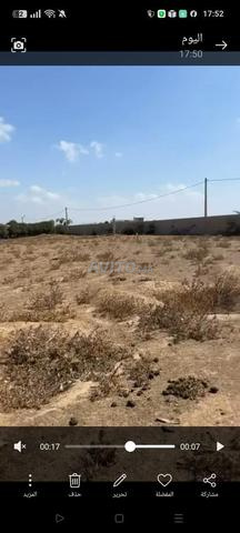 Ain Qassab environs de Benslimane - 2