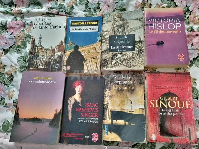 LOT DE ROMANS - 2