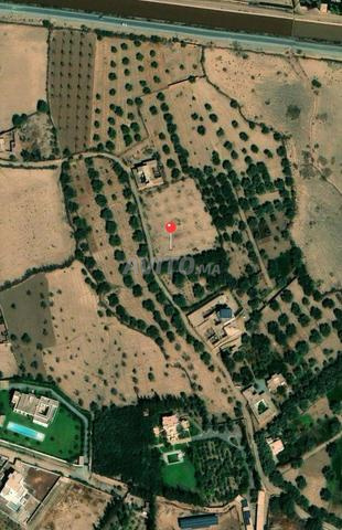 Terrain de 2000m2 - 19 km de Marrakech - 2