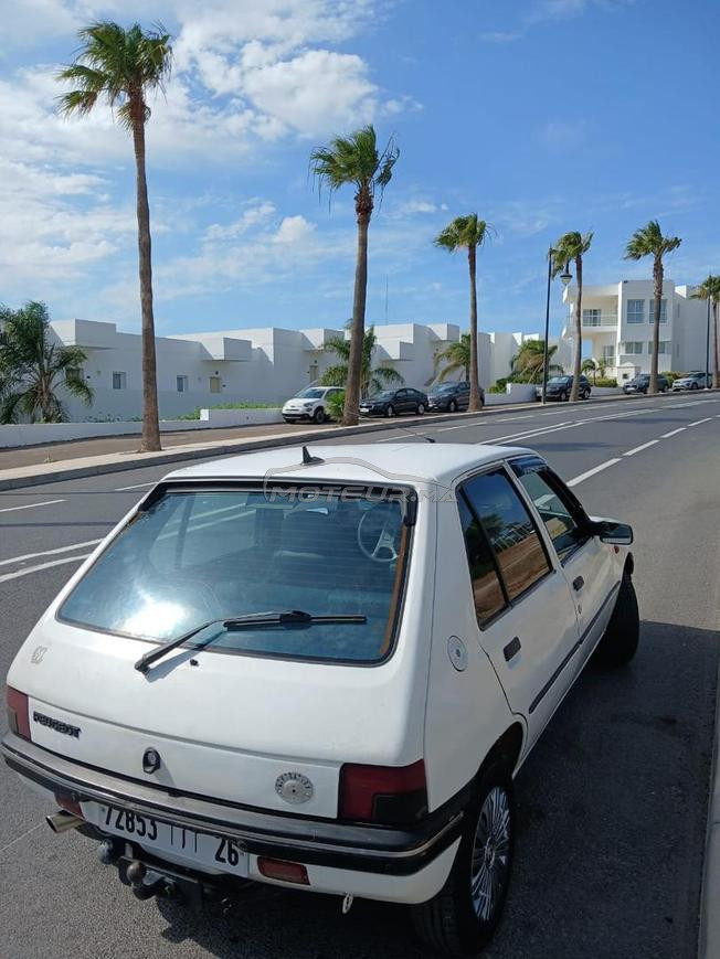 طنجة تطوان 
