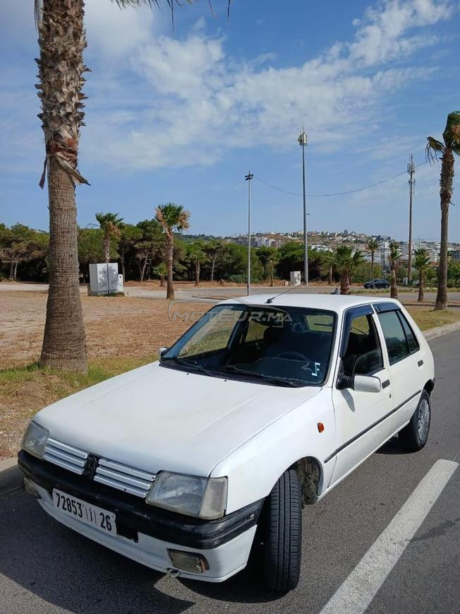 طنجة تطوان 