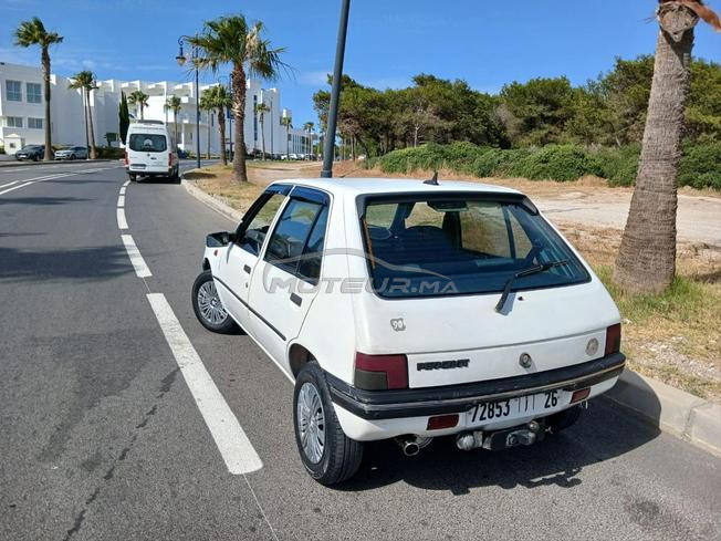 طنجة تطوان 