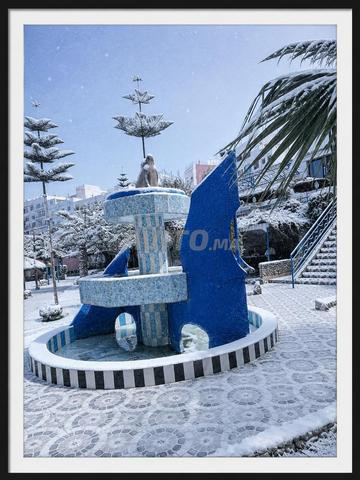 أرض مقسمة - 2
