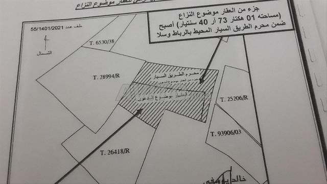 أرض فلاحية للبيع - 2