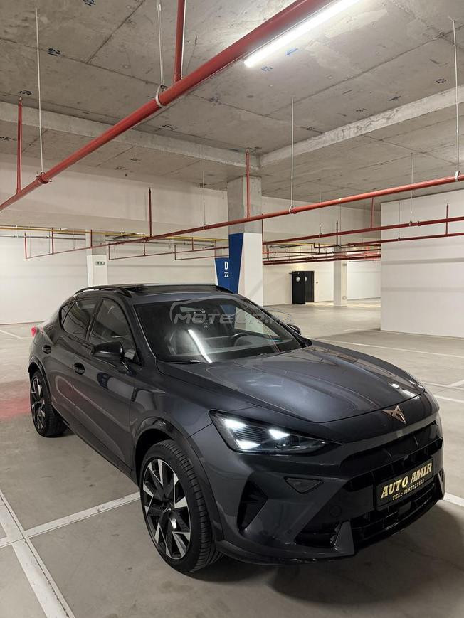 Cupra Formentor Carbone Édition 