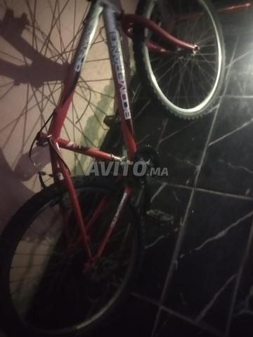 Vélo - 2