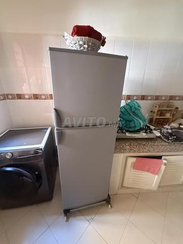 ثلاجة ببابين، مشكلة في المحرك